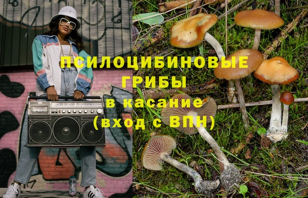 винт Елизово
