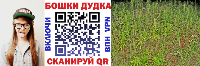 Бошки марихуана Bruce Banner Козельск
